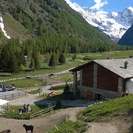 La Ferme du Grand Paradis Cogne Exterior foto