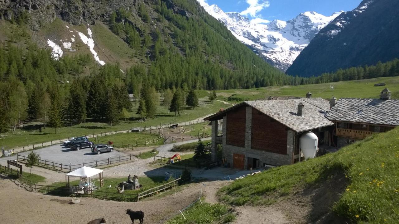 La Ferme du Grand Paradis Cogne Exterior foto