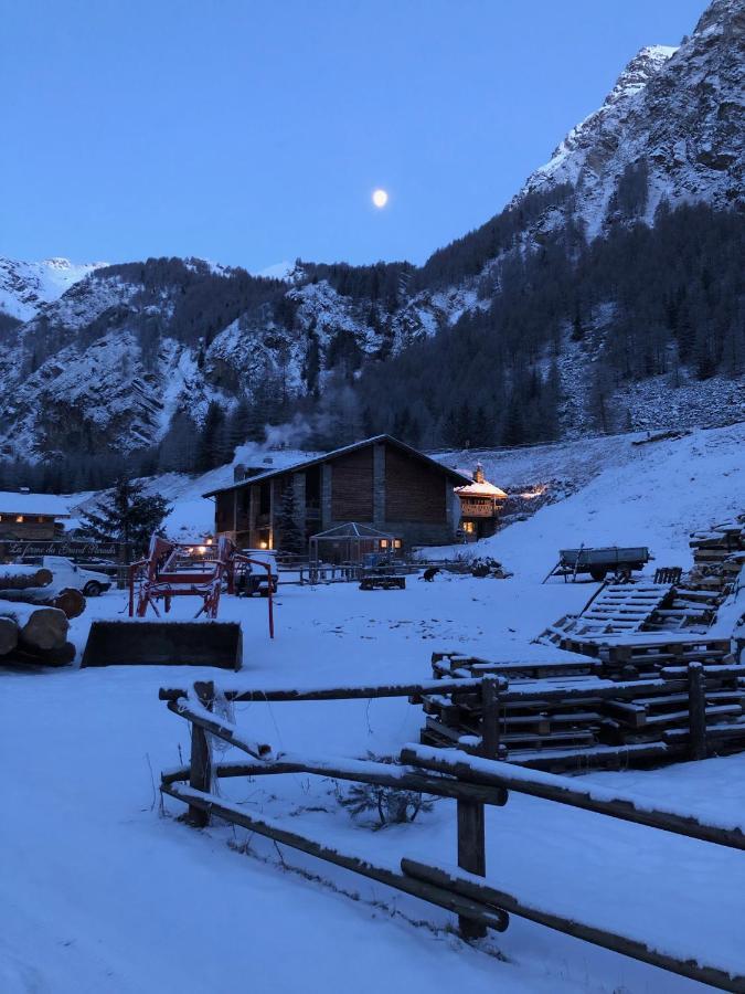 La Ferme du Grand Paradis Cogne Exterior foto